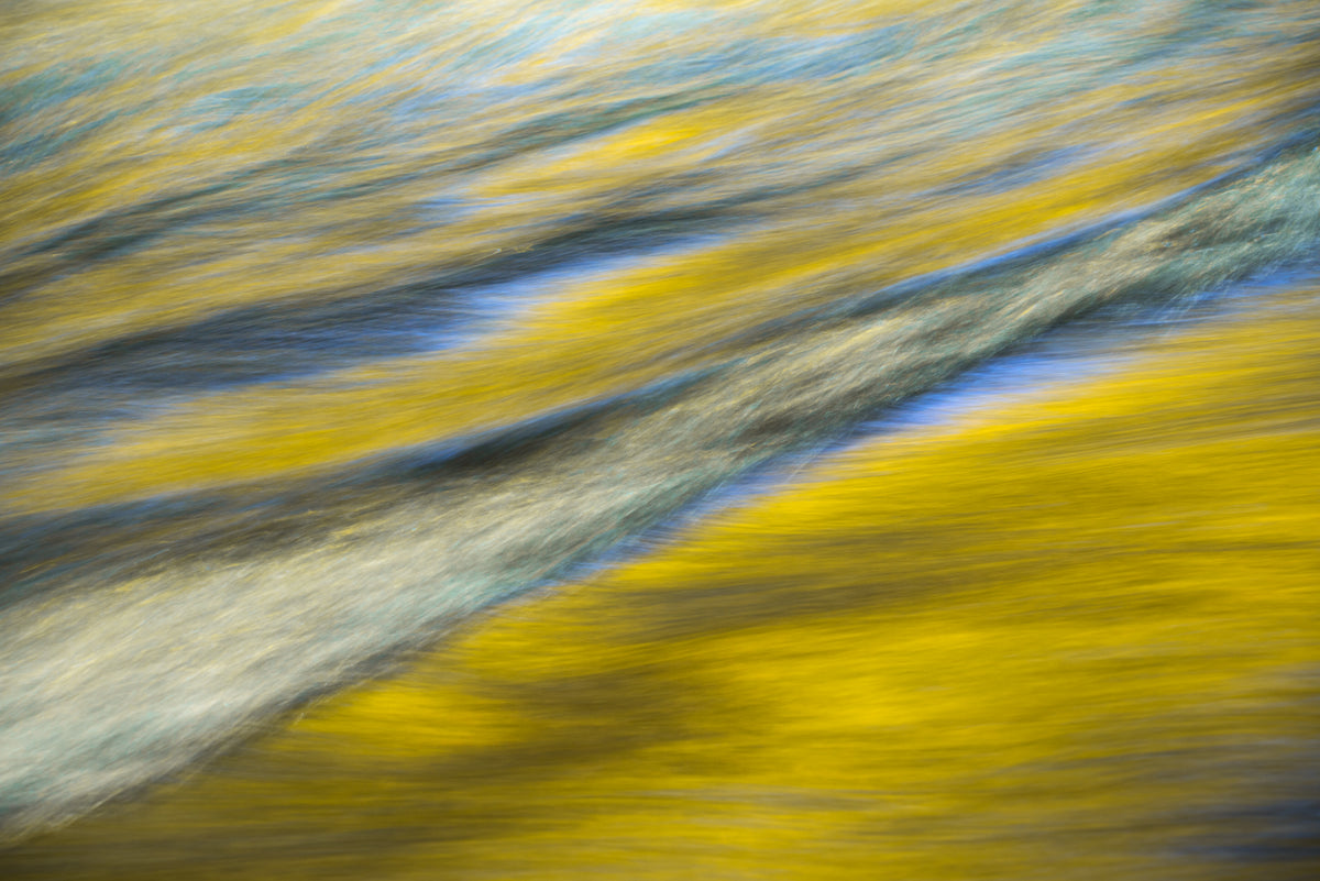 Golden wave Poster och Canvastavla