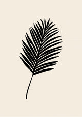 Black Palm Poster och Canvastavla