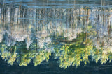 Reflected Artwork Poster och Canvastavla