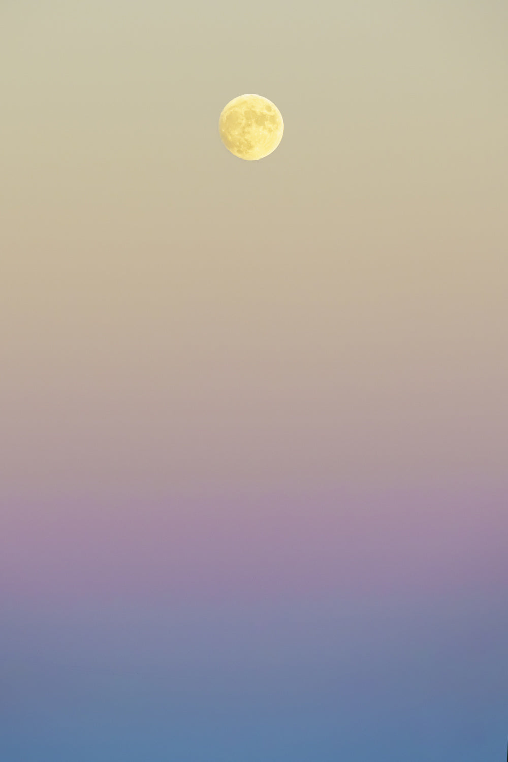 Art of fullmoon sep Poster och Canvastavla