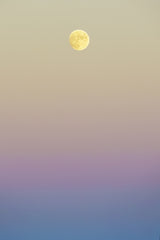 Art of fullmoon sep Poster och Canvastavla