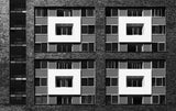 Between bricks Poster och Canvastavla