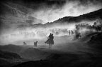 in dust Poster och Canvastavla