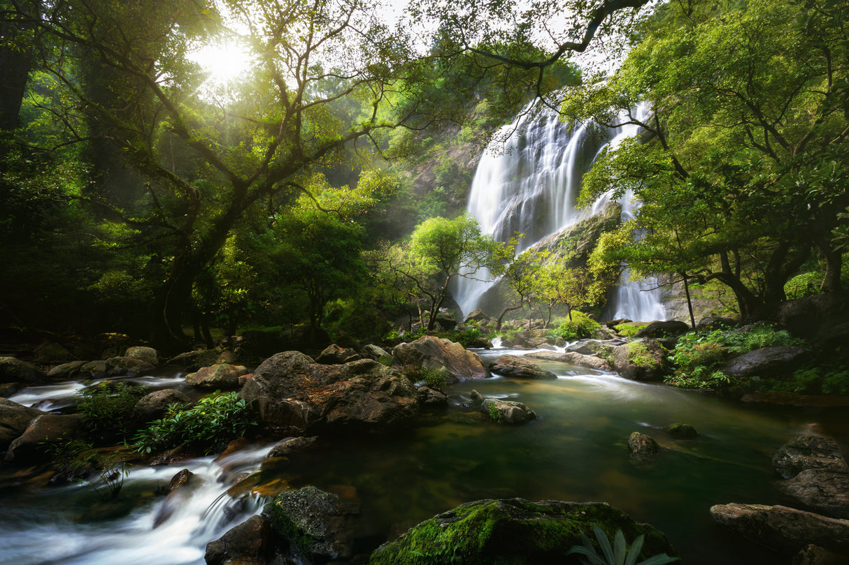 Mountain stream Poster och Canvastavla