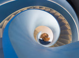 Spiral staircase Poster och Canvastavla