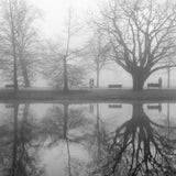 The park in Februari Poster och Canvastavla