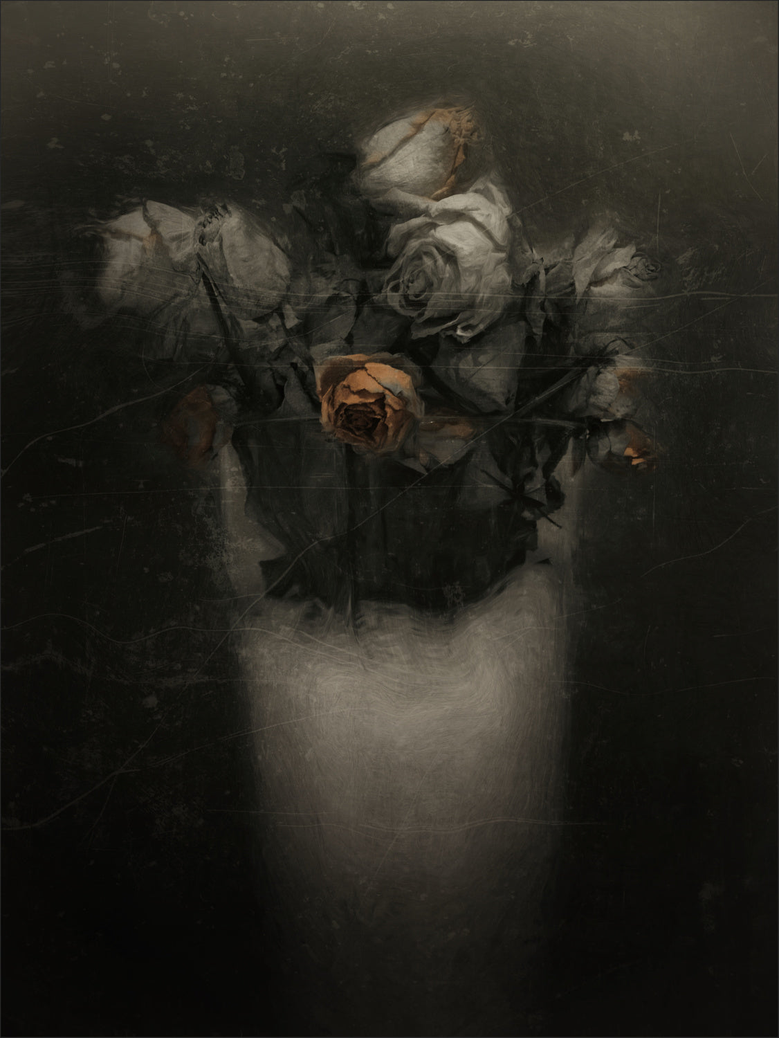 grieving red old roses Poster och Canvastavla