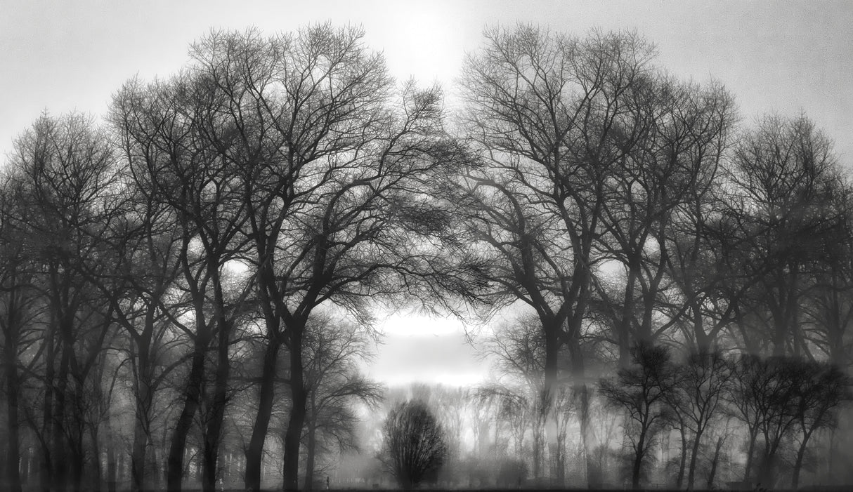 Fog is my weakness.... Poster och Canvastavla