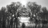 Fog is my weakness.... Poster och Canvastavla