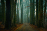Last leaves Poster och Canvastavla