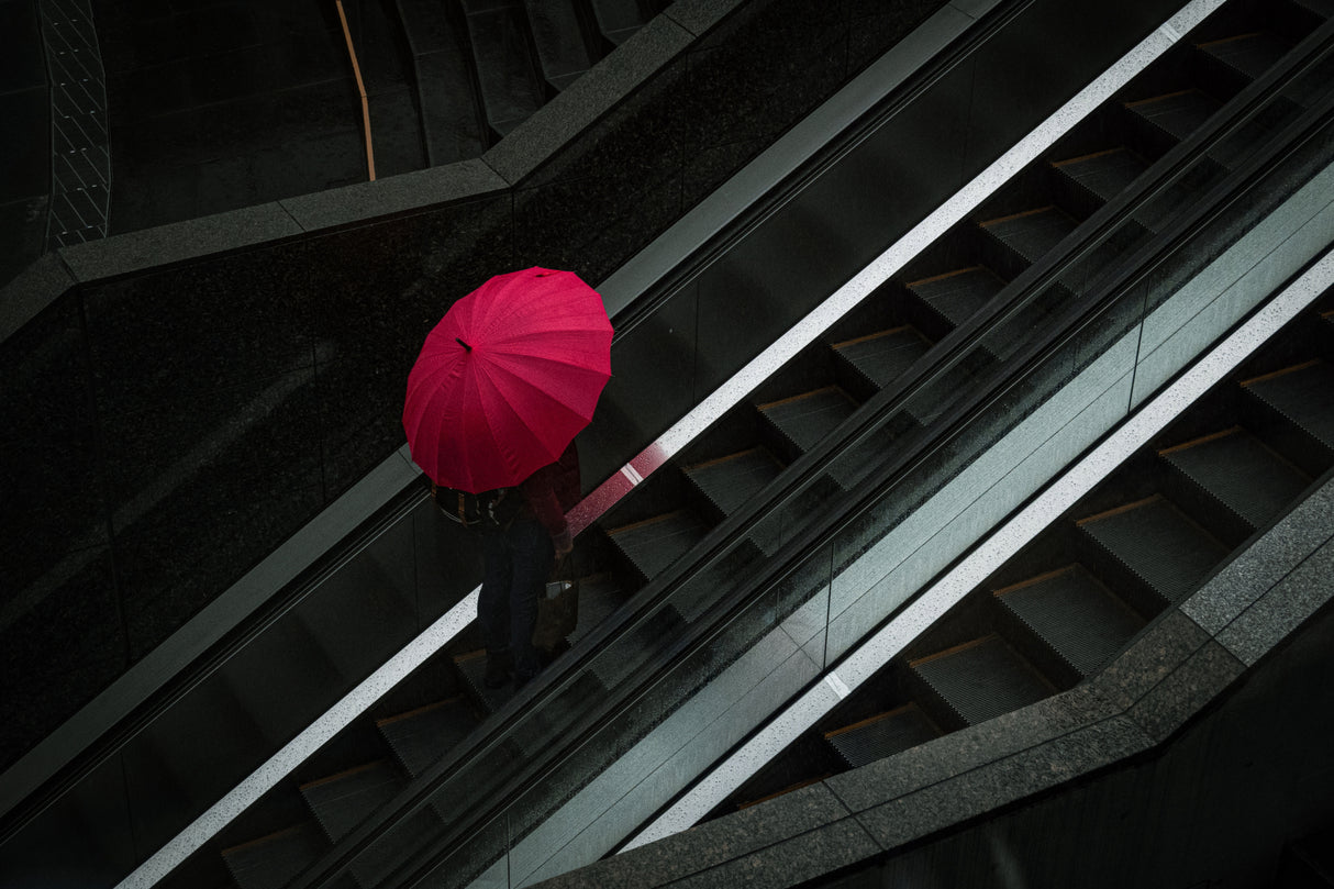 Red umbrella Poster och Canvastavla