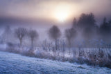 Winter Impression Poster och Canvastavla