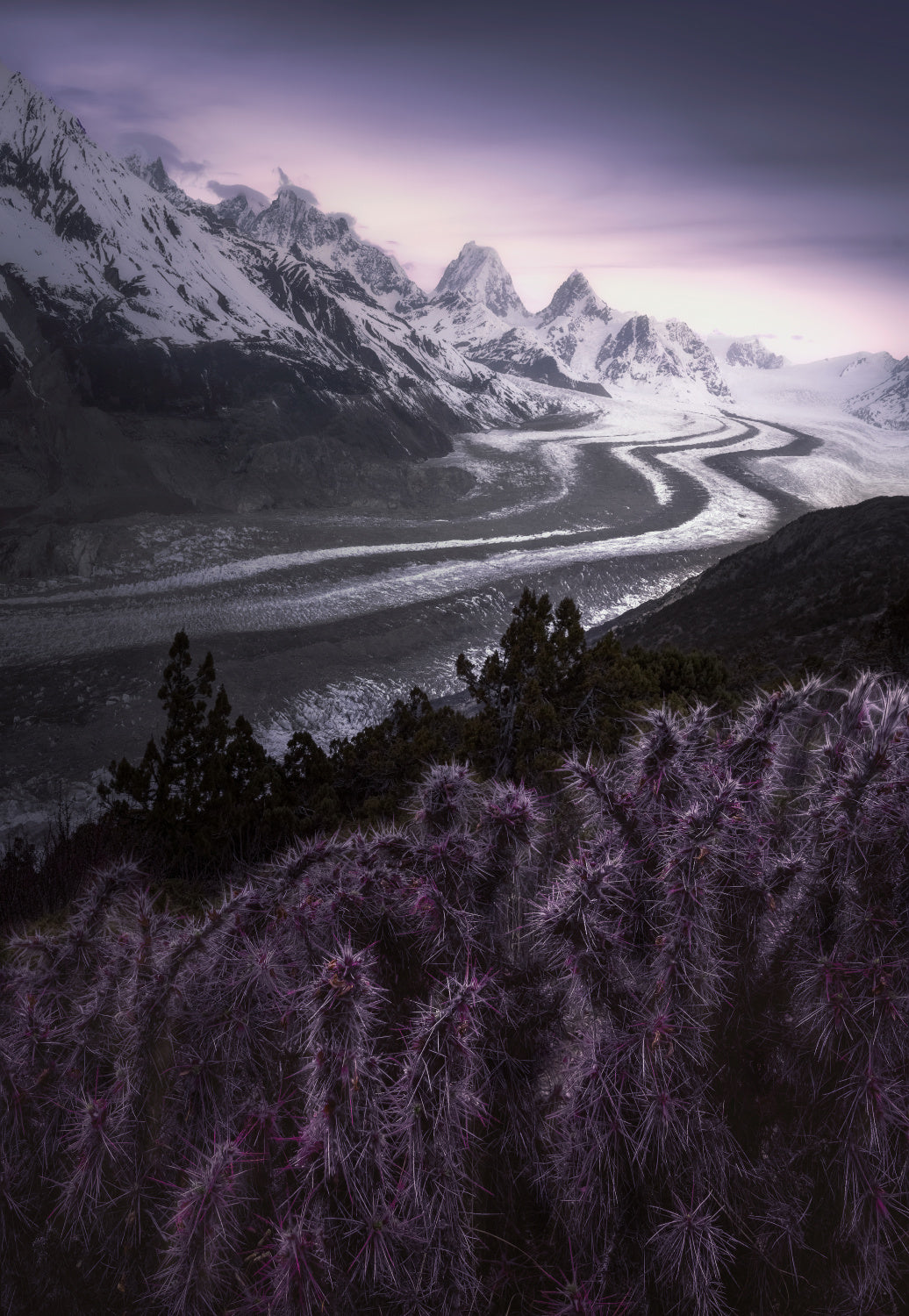 Totem of the Earth: Retreating Glaciers and Cacti Poster och Canvastavla