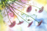 iridescent dream Poster och Canvastavla