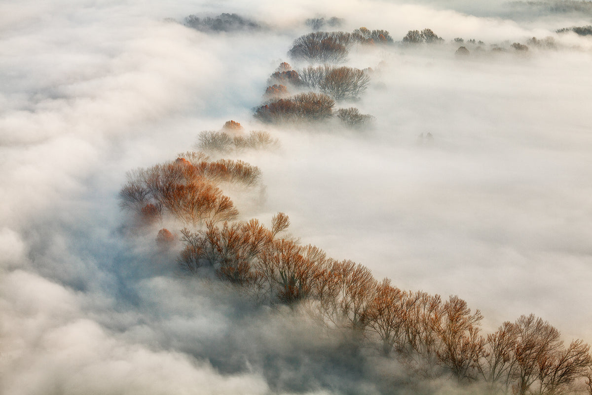 Foggy valley Poster och Canvastavla