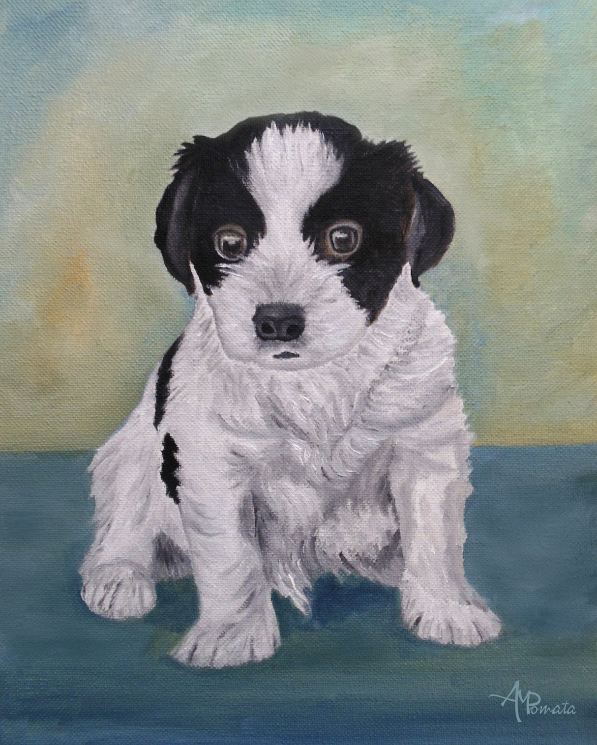 Border Collie Puppy Poster och Canvastavla