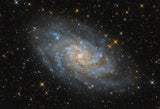 The Triangulum Galaxy - M33 Poster och Canvastavla