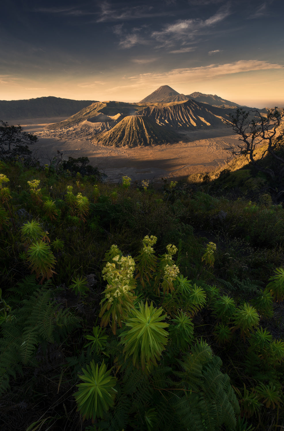 bromo volcano national park Poster och Canvastavla
