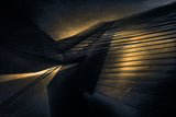 Lights of the Erasmusbridge Poster och Canvastavla