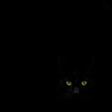 Watching you from the dark side Poster och Canvastavla