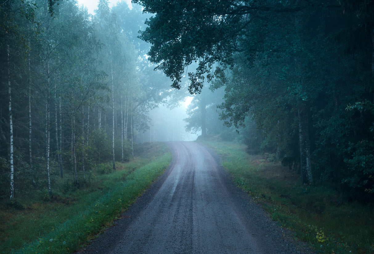 Halloween road Poster och Canvastavla