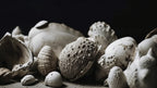 Beach Impressions No 41 Poster och Canvastavla
