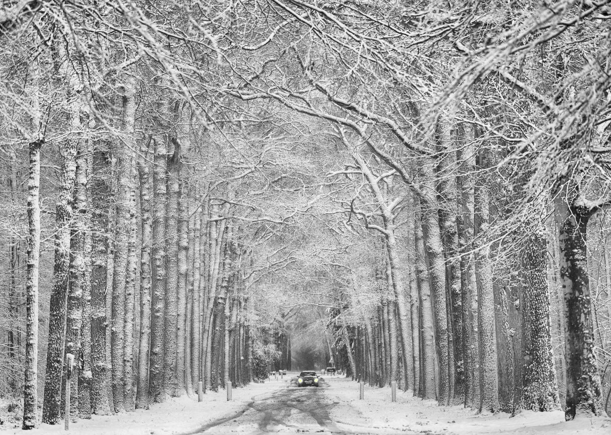 Winter mood Poster och Canvastavla