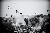 Life on garbage dump yard III Poster och Canvastavla