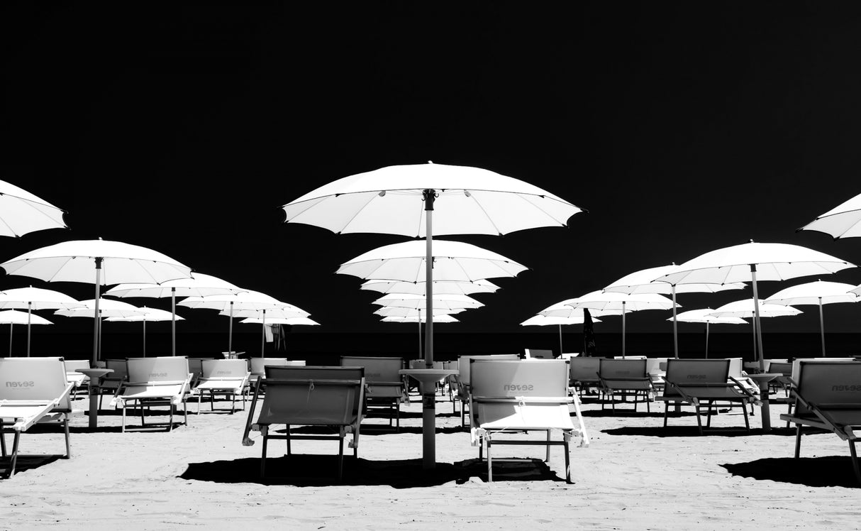 white sunshades - revised Poster och Canvastavla