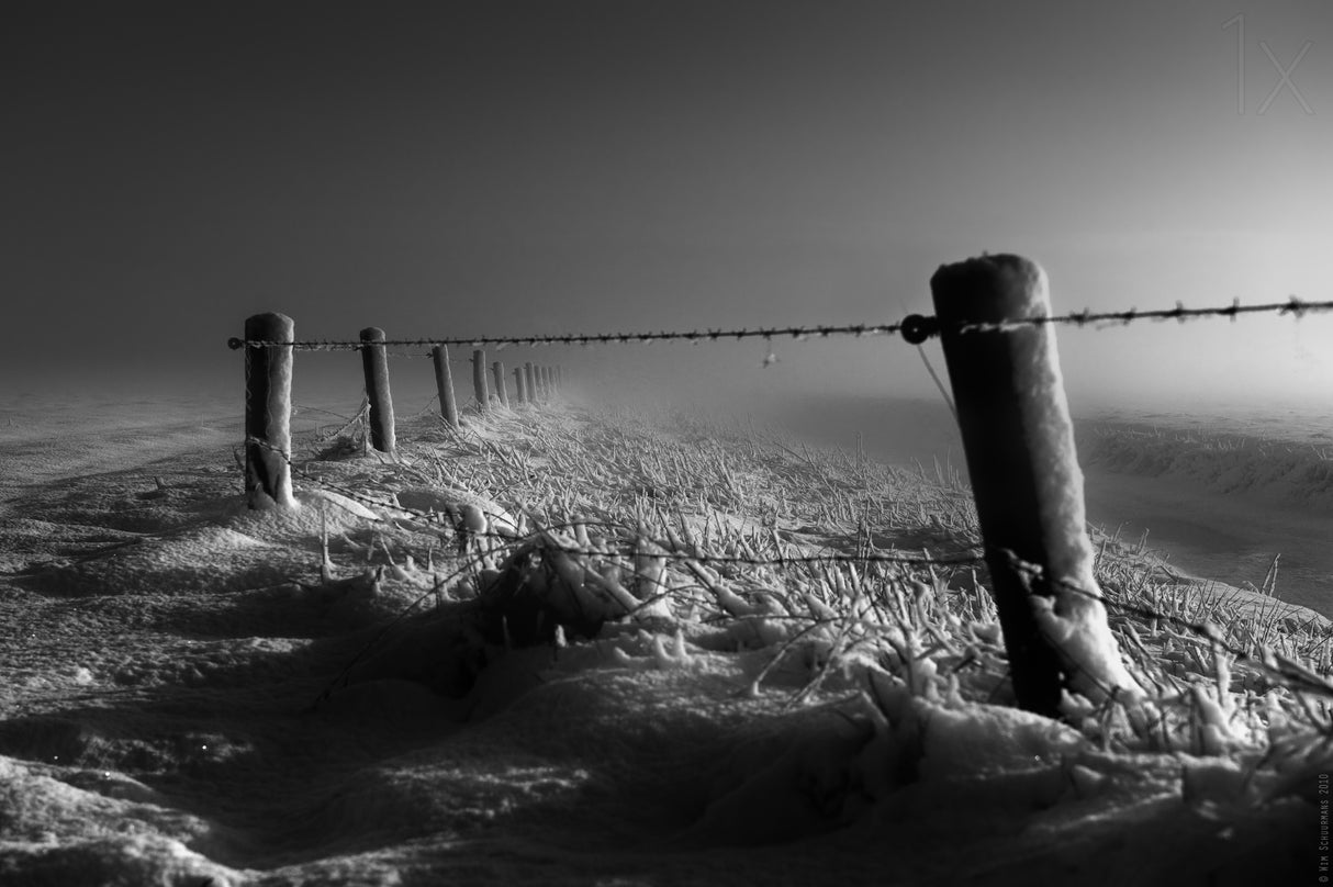 Freezing........... Poster och Canvastavla