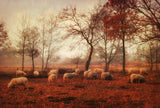Last days of autumn Poster och Canvastavla