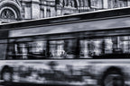 Bus in Bologna Poster och Canvastavla