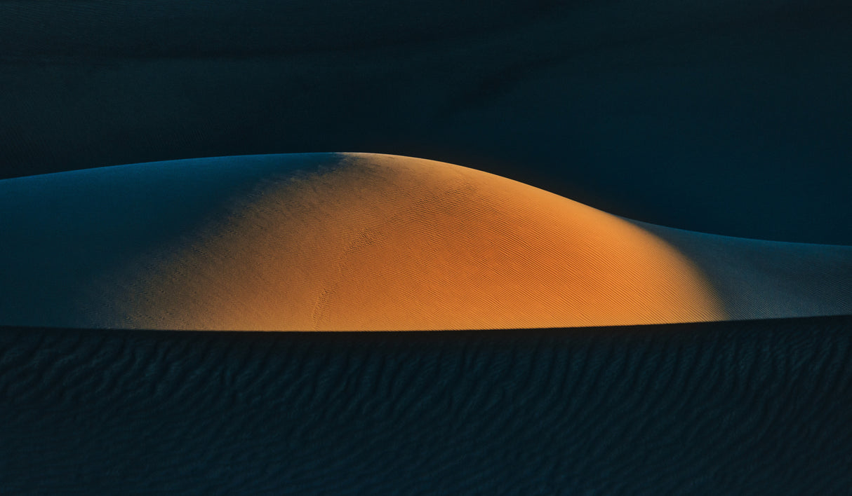 the middle of desert Poster och Canvastavla