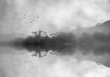 Misty Reflections Poster och Canvastavla