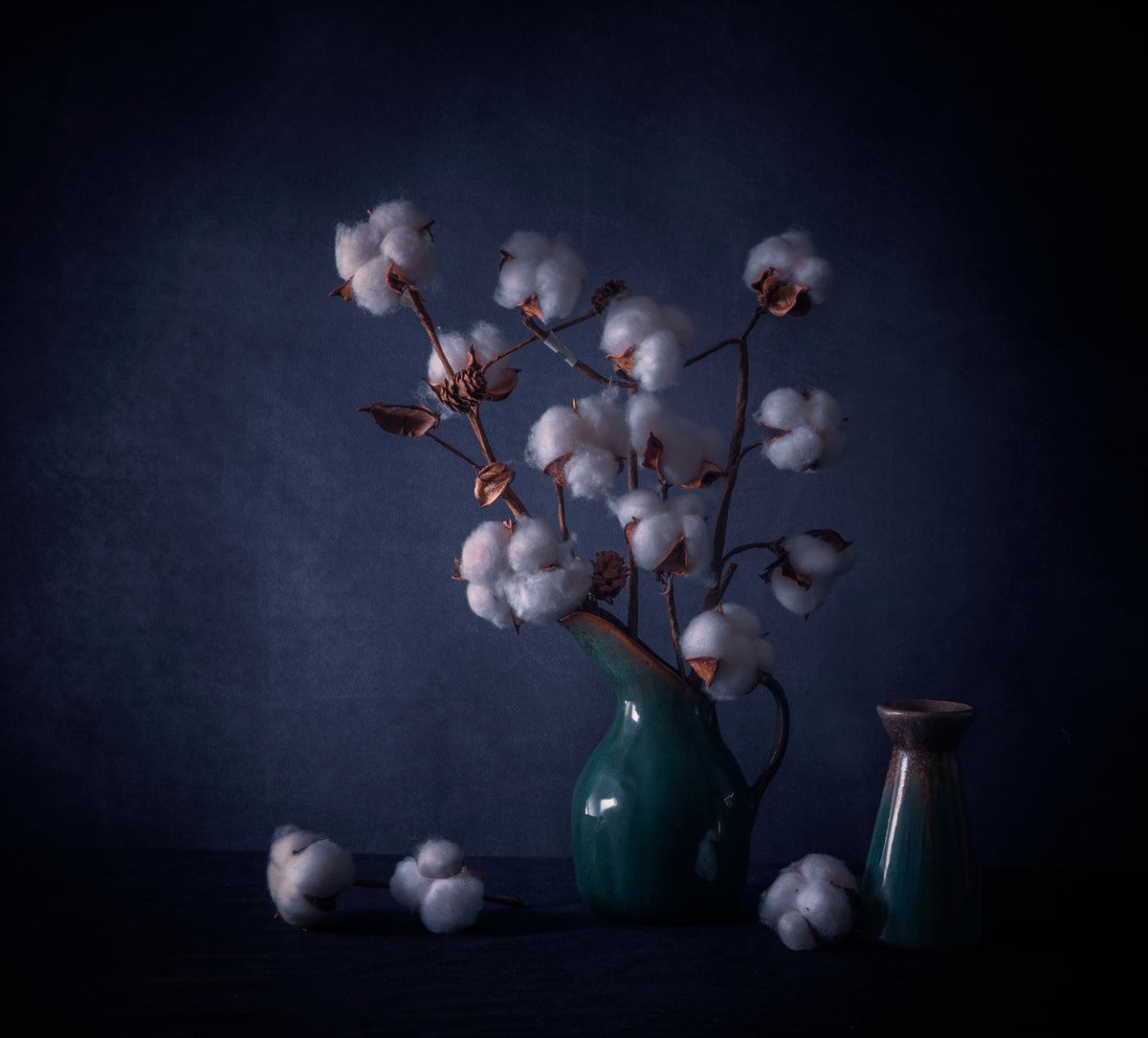 Cotton Flowers Poster och Canvastavla