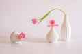 still life 76 Poster och Canvastavla