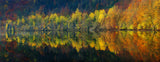 Autumnal silence Poster och Canvastavla