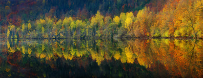 Autumnal silence Poster och Canvastavla