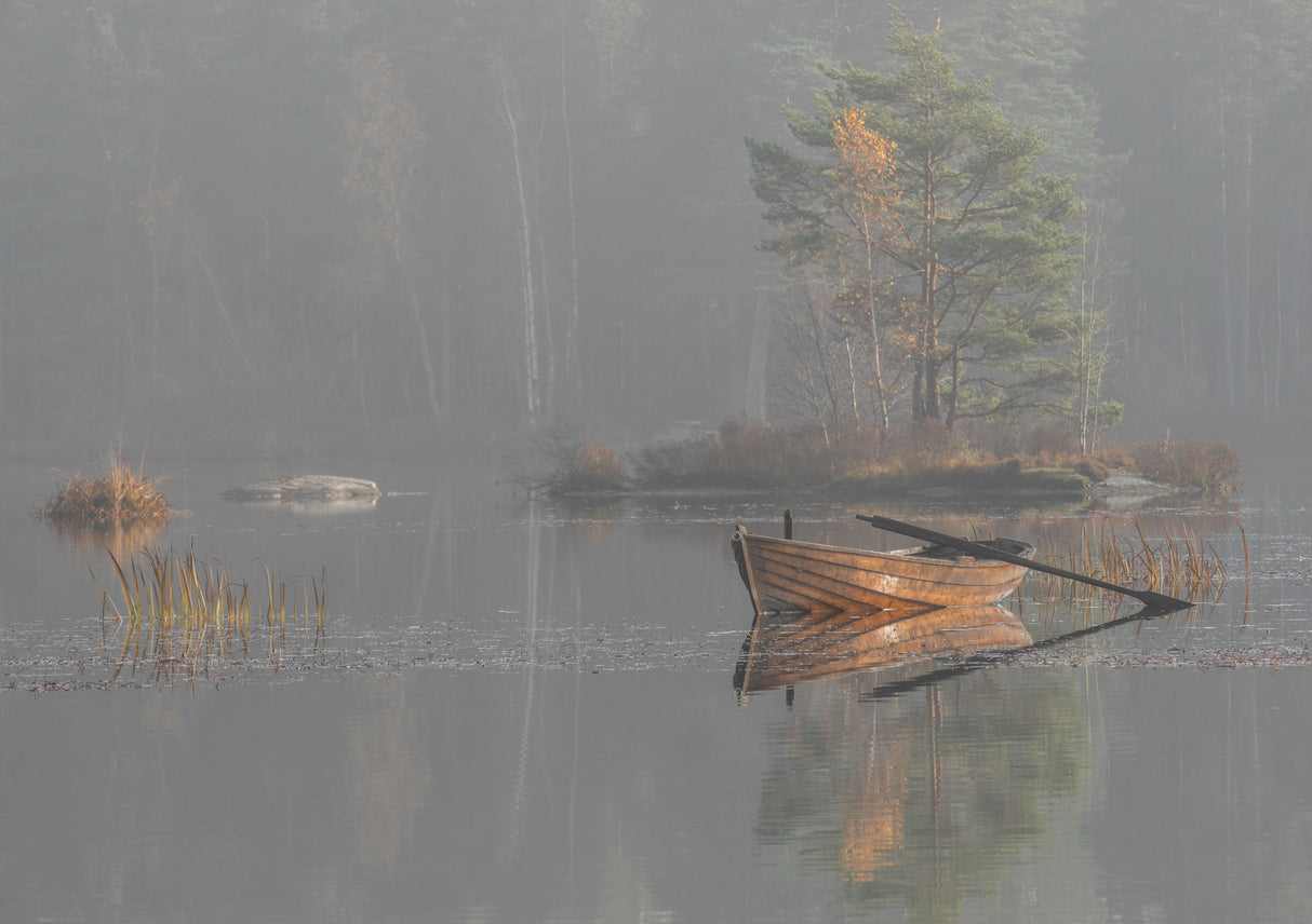 sun through the fog Poster och Canvastavla