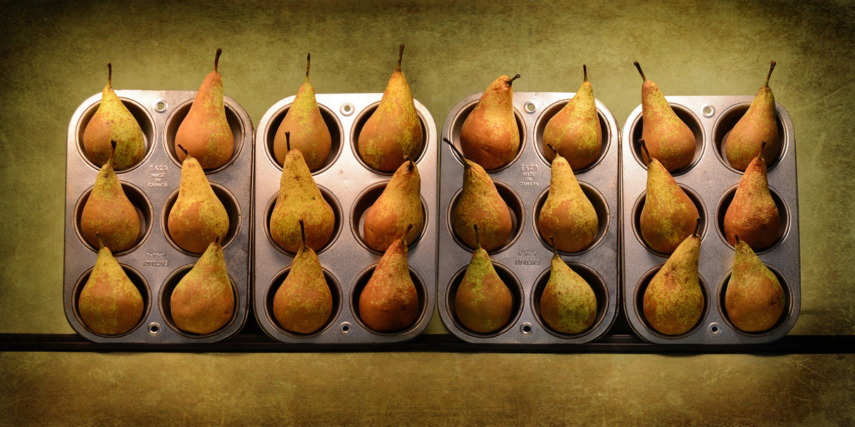 Twelve Pairs, Twenty-Four Pears Poster och Canvastavla