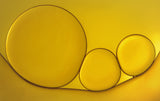 Oil and Water Poster och Canvastavla