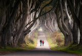 Moving Into Autumn Poster och Canvastavla
