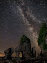 Milky way over hopewell rocks Poster och Canvastavla