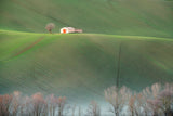 The cottage in the fields Poster och Canvastavla