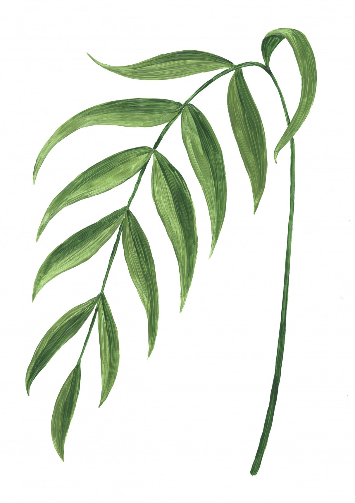 Leire green branch Poster och Canvastavla