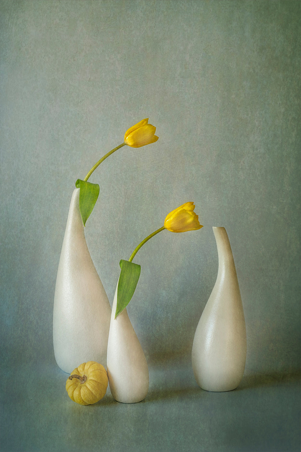 Yellow Tulip and Mini Squash Poster och Canvastavla