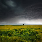 Sommergewitter Poster och Canvastavla