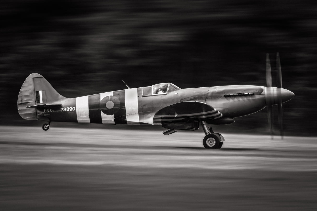 Spitfire MK XIX Poster och Canvastavla