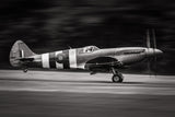 Spitfire MK XIX Poster och Canvastavla