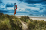 The lifesaver Poster och Canvastavla